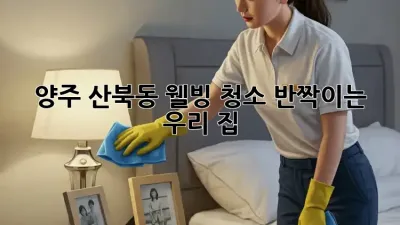 양주 산북동 웰빙 청소, ✨반짝이는 우리 집✨